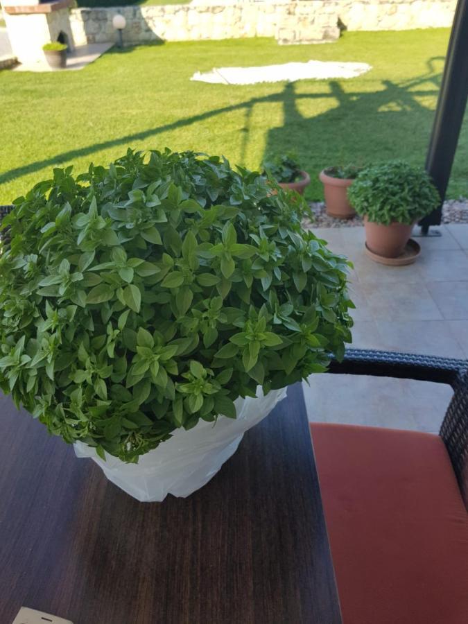 Kriopigi Paradise Dış mekan fotoğraf